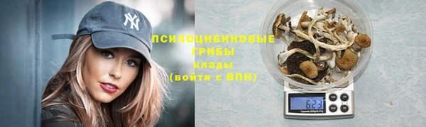 амф Баксан