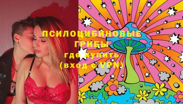 дурь Аркадак
